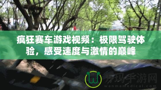 瘋狂賽車游戲視頻：極限駕駛體驗(yàn)，感受速度與激情的巔峰