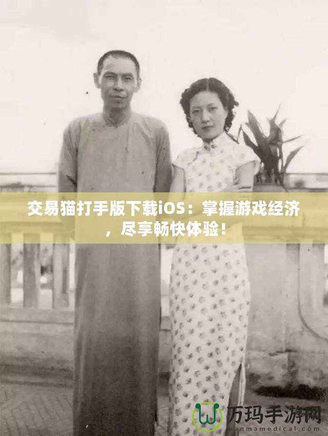 交易貓打手版下載iOS：掌握游戲經濟，盡享暢快體驗！