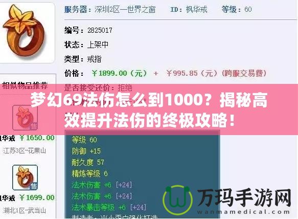 夢幻69法傷怎么到1000？揭秘高效提升法傷的終極攻略！
