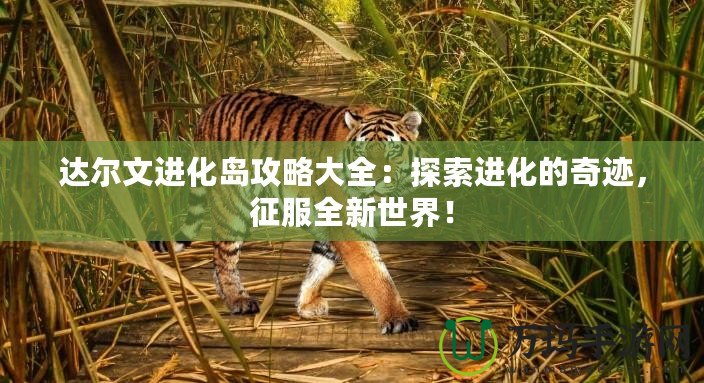 達(dá)爾文進(jìn)化島攻略大全：探索進(jìn)化的奇跡，征服全新世界！