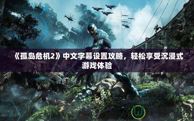 《孤島危機(jī)2》中文字幕設(shè)置攻略，輕松享受沉浸式游戲體驗(yàn)