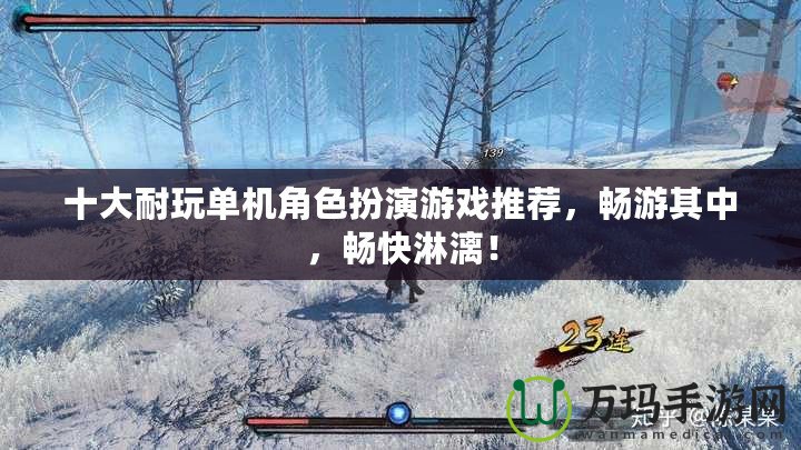 十大耐玩單機角色扮演游戲推薦，暢游其中，暢快淋漓！