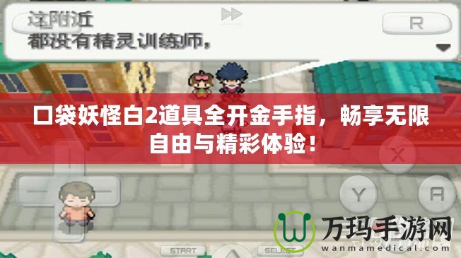 口袋妖怪白2道具全開金手指，暢享無限自由與精彩體驗(yàn)！