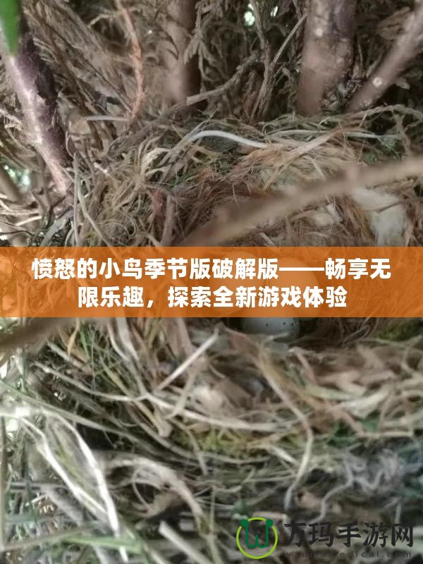 憤怒的小鳥季節版破解版——暢享無限樂趣，探索全新游戲體驗