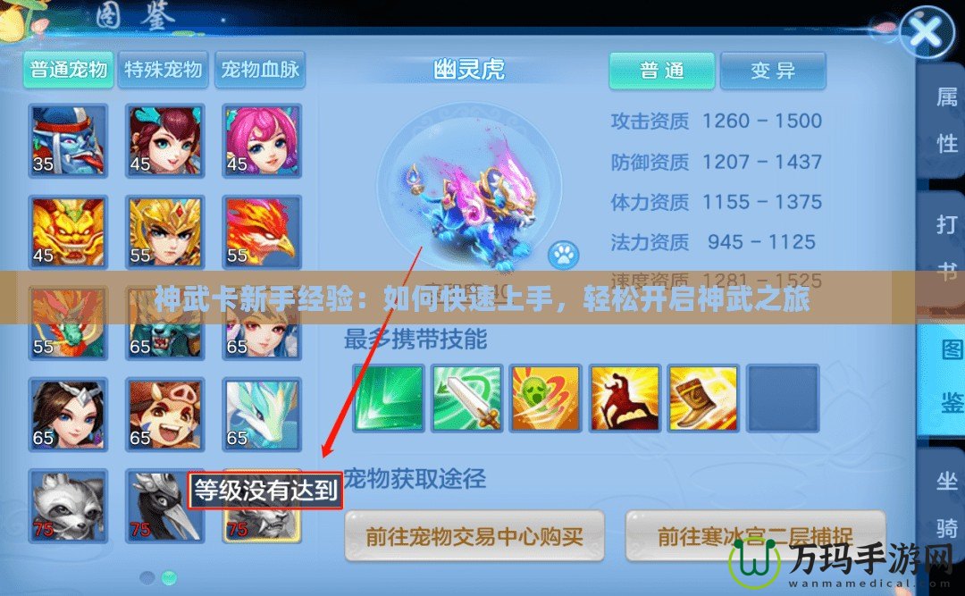 神武卡新手經(jīng)驗(yàn)：如何快速上手，輕松開啟神武之旅