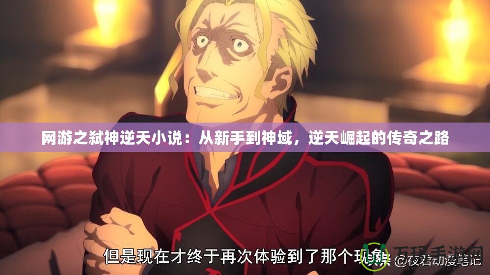 網(wǎng)游之弒神逆天小說：從新手到神域，逆天崛起的傳奇之路