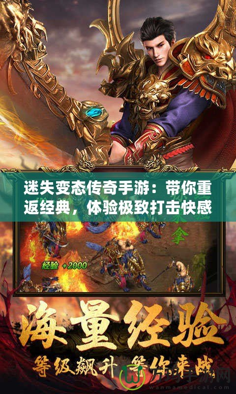 迷失變態(tài)傳奇手游：帶你重返經(jīng)典，體驗極致打擊快感！