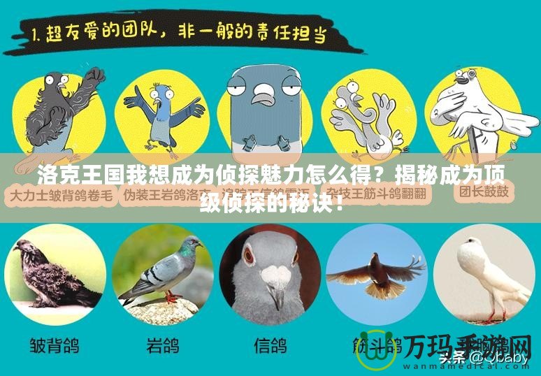 洛克王國(guó)我想成為偵探魅力怎么得？揭秘成為頂級(jí)偵探的秘訣！