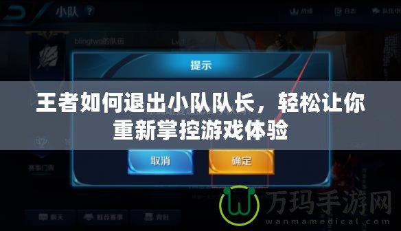 王者如何退出小隊(duì)隊(duì)長(zhǎng)，輕松讓你重新掌控游戲體驗(yàn)