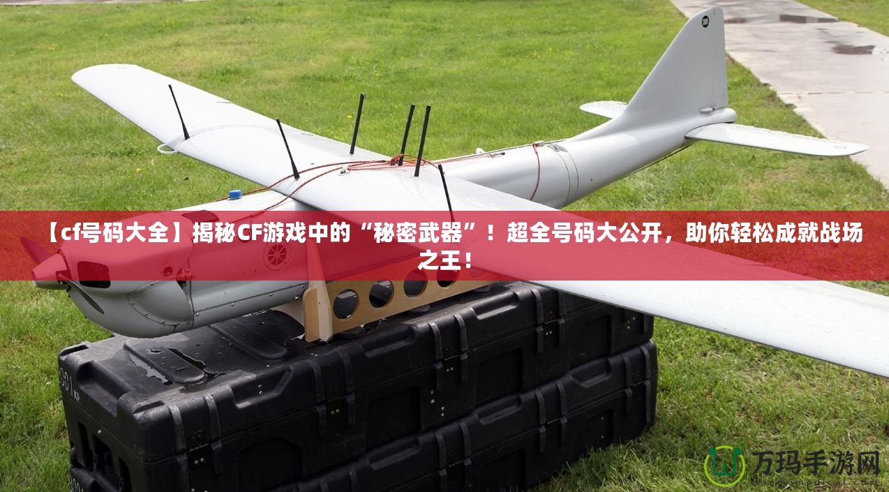 【cf號碼大全】揭秘CF游戲中的“秘密武器”！超全號碼大公開，助你輕松成就戰(zhàn)場之王！