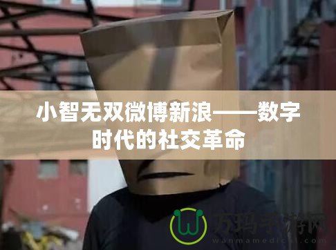 小智無雙微博新浪——數字時代的社交革命