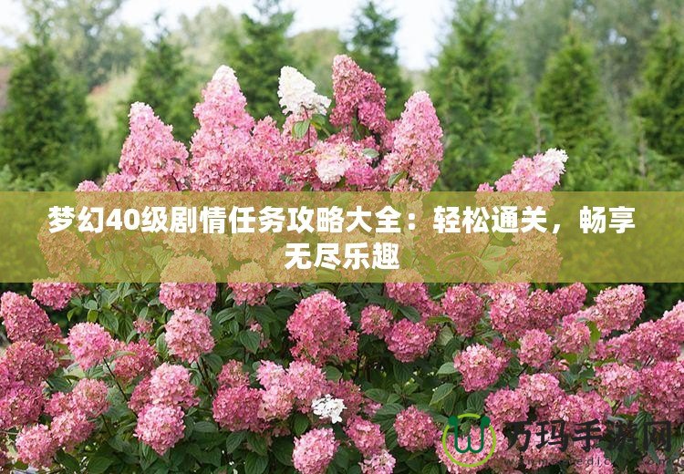 夢幻40級劇情任務攻略大全：輕松通關，暢享無盡樂趣