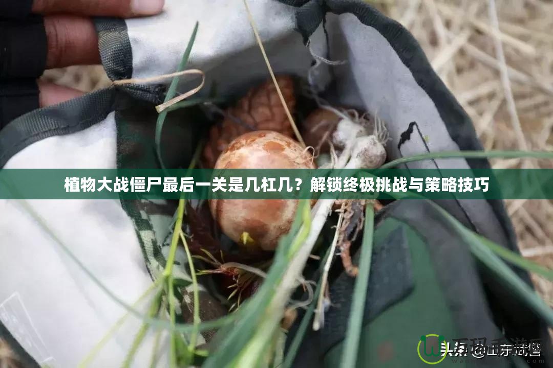 植物大戰僵尸最后一關是幾杠幾？解鎖終極挑戰與策略技巧