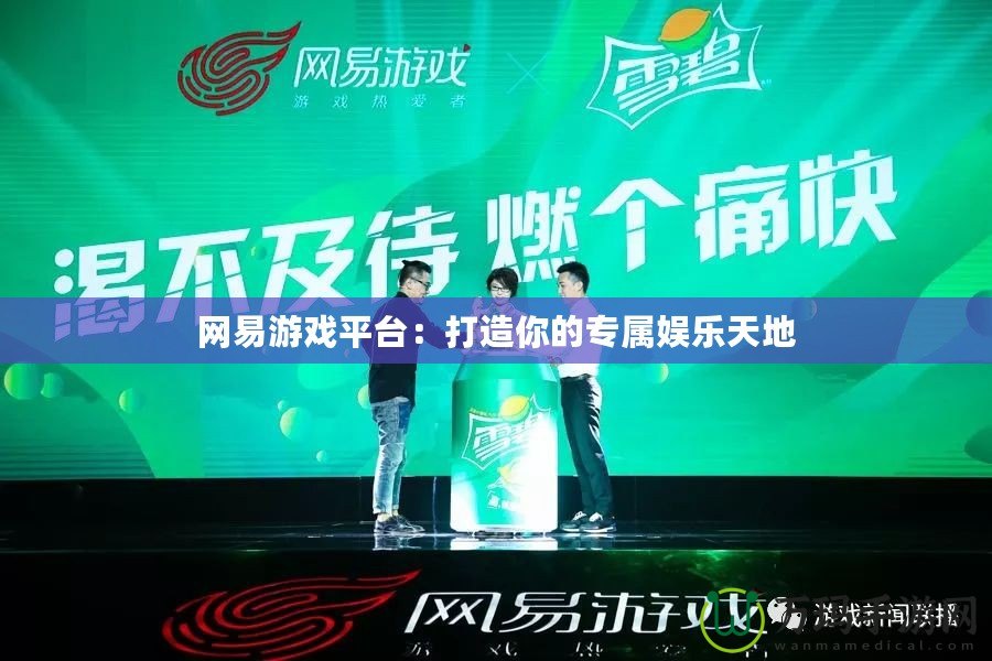 網易游戲平臺：打造你的專屬娛樂天地