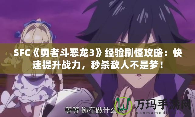 SFC《勇者斗惡龍3》經(jīng)驗刷怪攻略：快速提升戰(zhàn)力，秒殺敵人不是夢！