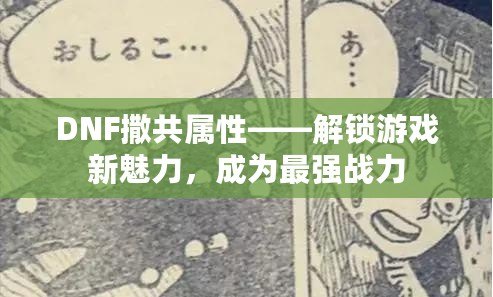 DNF撒共屬性——解鎖游戲新魅力，成為最強戰力