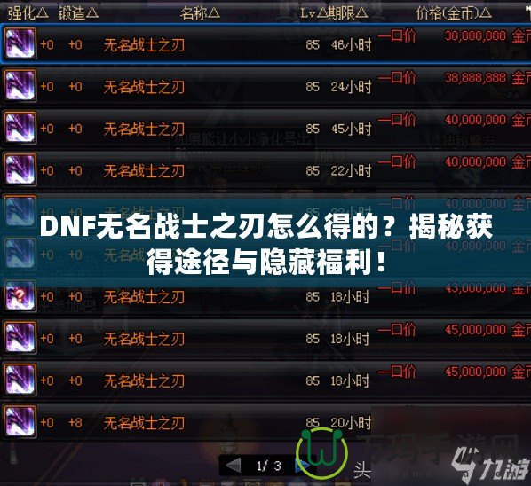 DNF無名戰(zhàn)士之刃怎么得的？揭秘獲得途徑與隱藏福利！