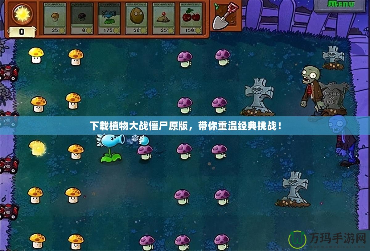下載植物大戰(zhàn)僵尸原版，帶你重溫經(jīng)典挑戰(zhàn)！