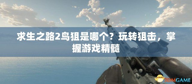 求生之路2鳥狙是哪個？玩轉狙擊，掌握游戲精髓