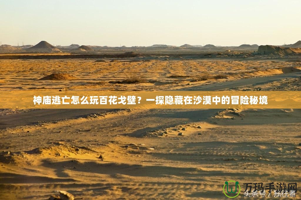 神廟逃亡怎么玩百花戈壁？一探隱藏在沙漠中的冒險秘境