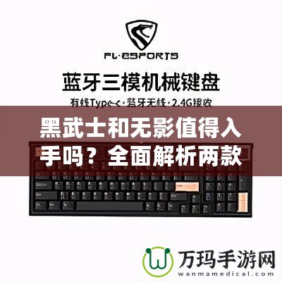 黑武士和無(wú)影值得入手嗎？全面解析兩款機(jī)械鍵盤的優(yōu)缺點(diǎn)