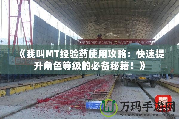 《我叫MT經驗藥使用攻略：快速提升角色等級的必備秘籍！》