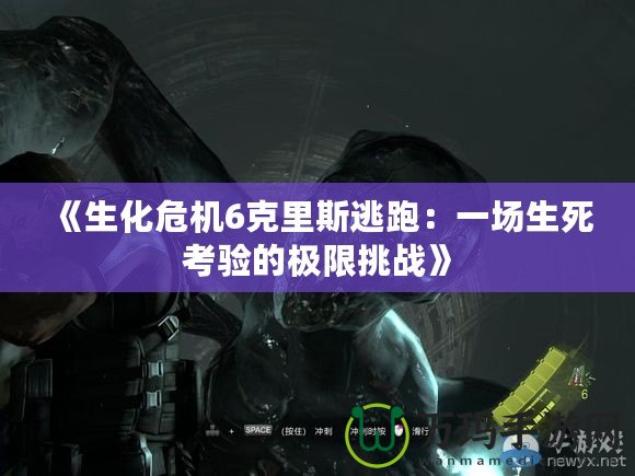 《生化危機6克里斯逃跑：一場生死考驗的極限挑戰》