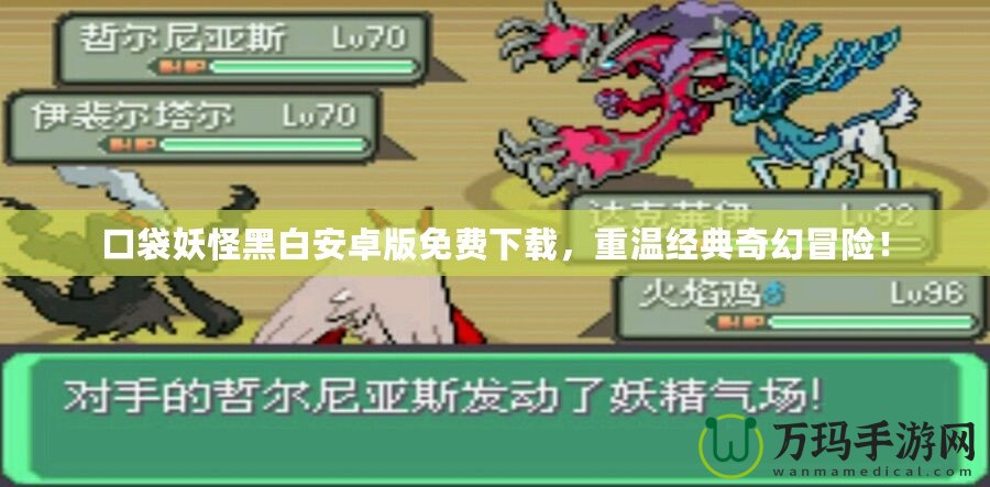 口袋妖怪黑白安卓版免費(fèi)下載，重溫經(jīng)典奇幻冒險(xiǎn)！
