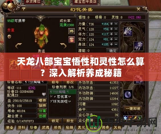 天龍八部寶寶悟性和靈性怎么算？深入解析養成秘籍