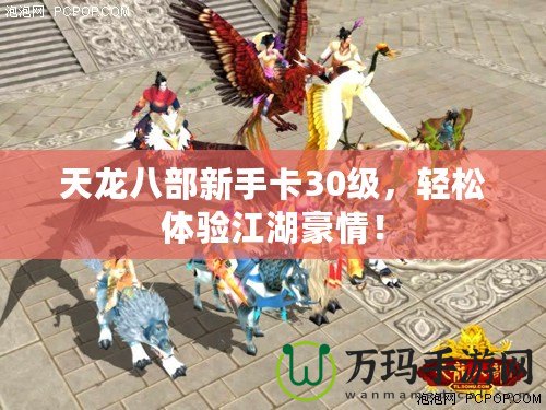 天龍八部新手卡30級，輕松體驗江湖豪情！