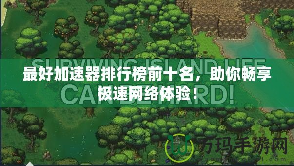 最好加速器排行榜前十名，助你暢享極速網絡體驗！