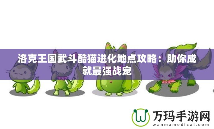 洛克王國武斗酷貓進化地點攻略：助你成就最強戰寵
