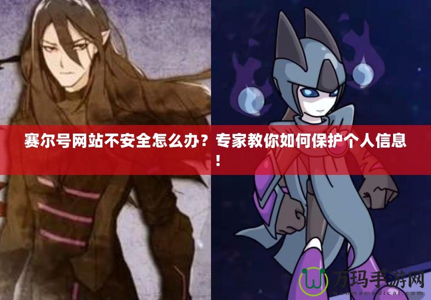 賽爾號網站不安全怎么辦？專家教你如何保護個人信息！