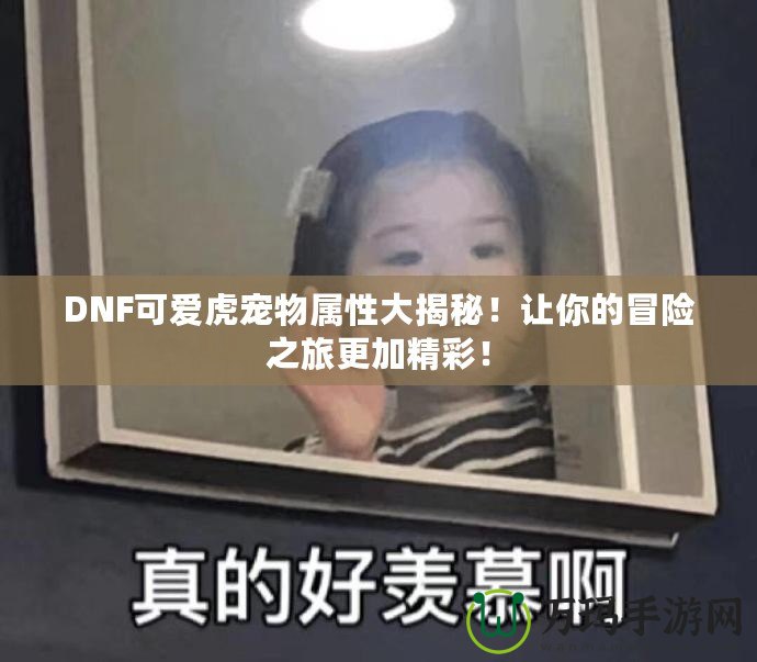 DNF可愛虎寵物屬性大揭秘！讓你的冒險之旅更加精彩！