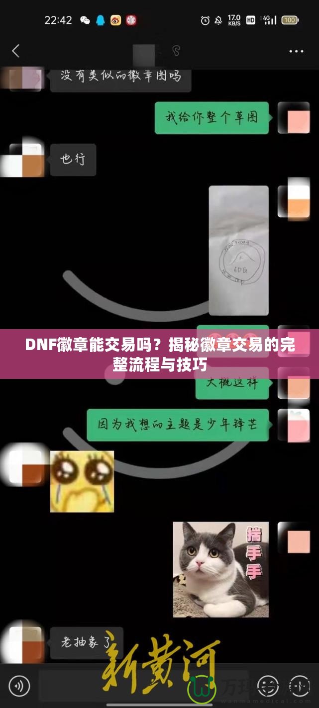 DNF徽章能交易嗎？揭秘徽章交易的完整流程與技巧