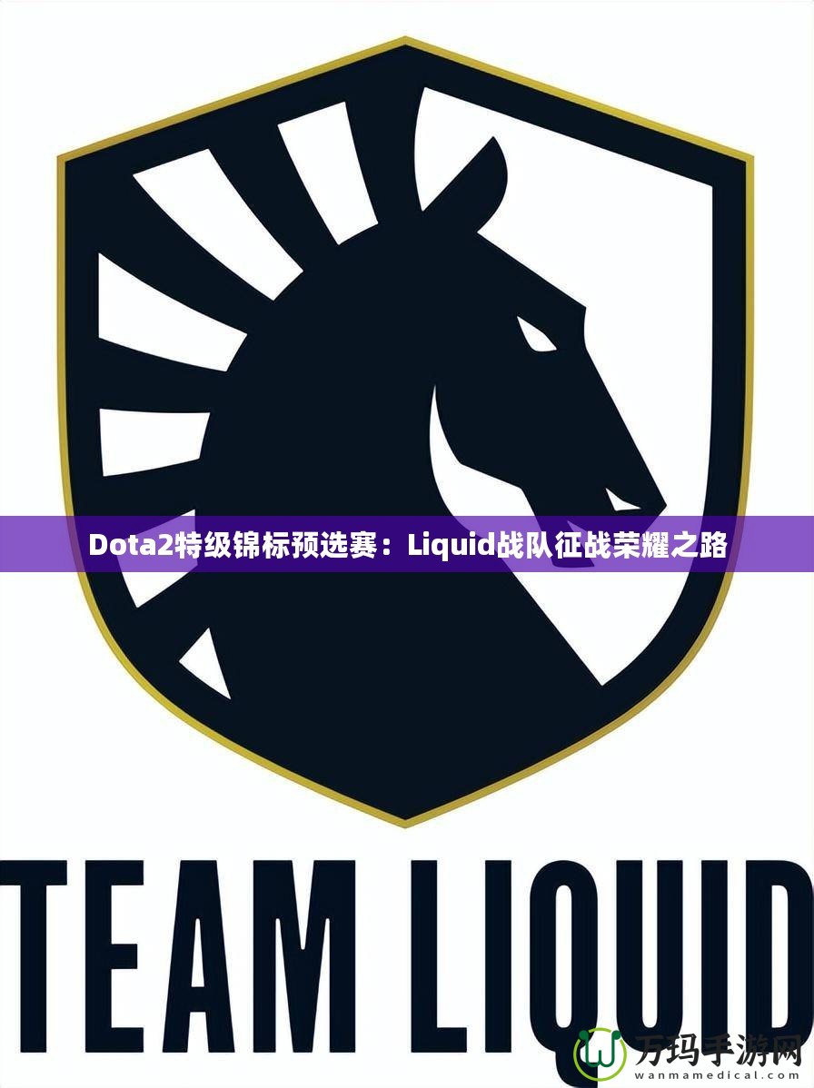 Dota2特級錦標預選賽：Liquid戰(zhàn)隊征戰(zhàn)榮耀之路