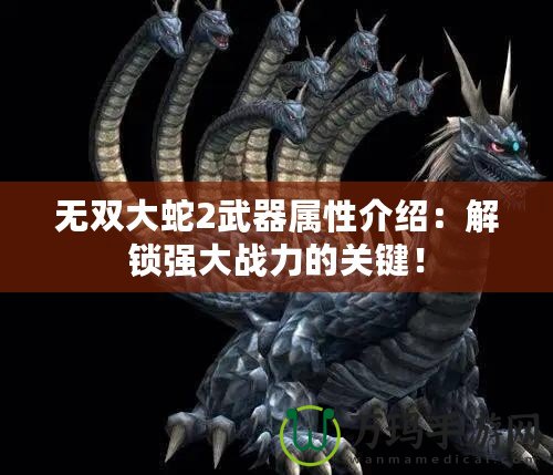 無雙大蛇2武器屬性介紹：解鎖強大戰力的關鍵！
