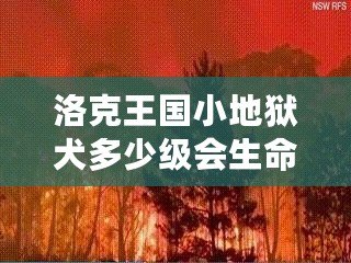 洛克王國小地獄犬多少級會生命火焰？揭秘最強寵物成長路線！