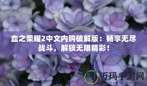 血之榮耀2中文內購破解版：暢享無盡戰斗，解鎖無限精彩！