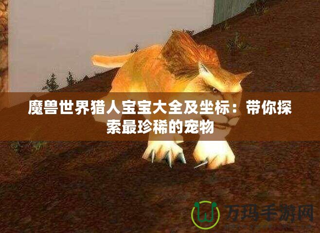 魔獸世界獵人寶寶大全及坐標：帶你探索最珍稀的寵物
