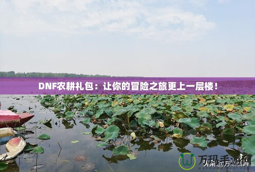 DNF農(nóng)耕禮包：讓你的冒險之旅更上一層樓！