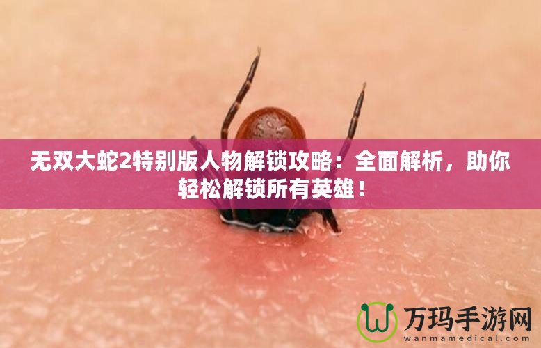 無(wú)雙大蛇2特別版人物解鎖攻略：全面解析，助你輕松解鎖所有英雄！
