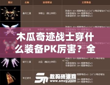 木瓜奇跡戰士穿什么裝備PK厲害？全面解析最強戰士PK裝備搭配！