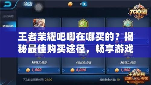 王者榮耀吧唧在哪買的？揭秘最佳購(gòu)買途徑，暢享游戲樂(lè)趣！