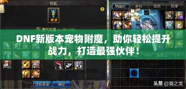 DNF新版本寵物附魔，助你輕松提升戰(zhàn)力，打造最強(qiáng)伙伴！
