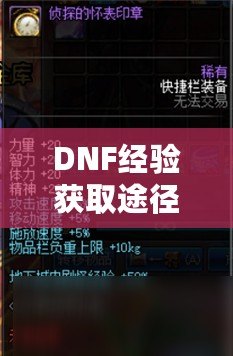 DNF經(jīng)驗(yàn)獲取途徑解析：輕松升級，快速提升！