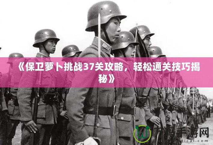 《保衛蘿卜挑戰37關攻略，輕松通關技巧揭秘》
