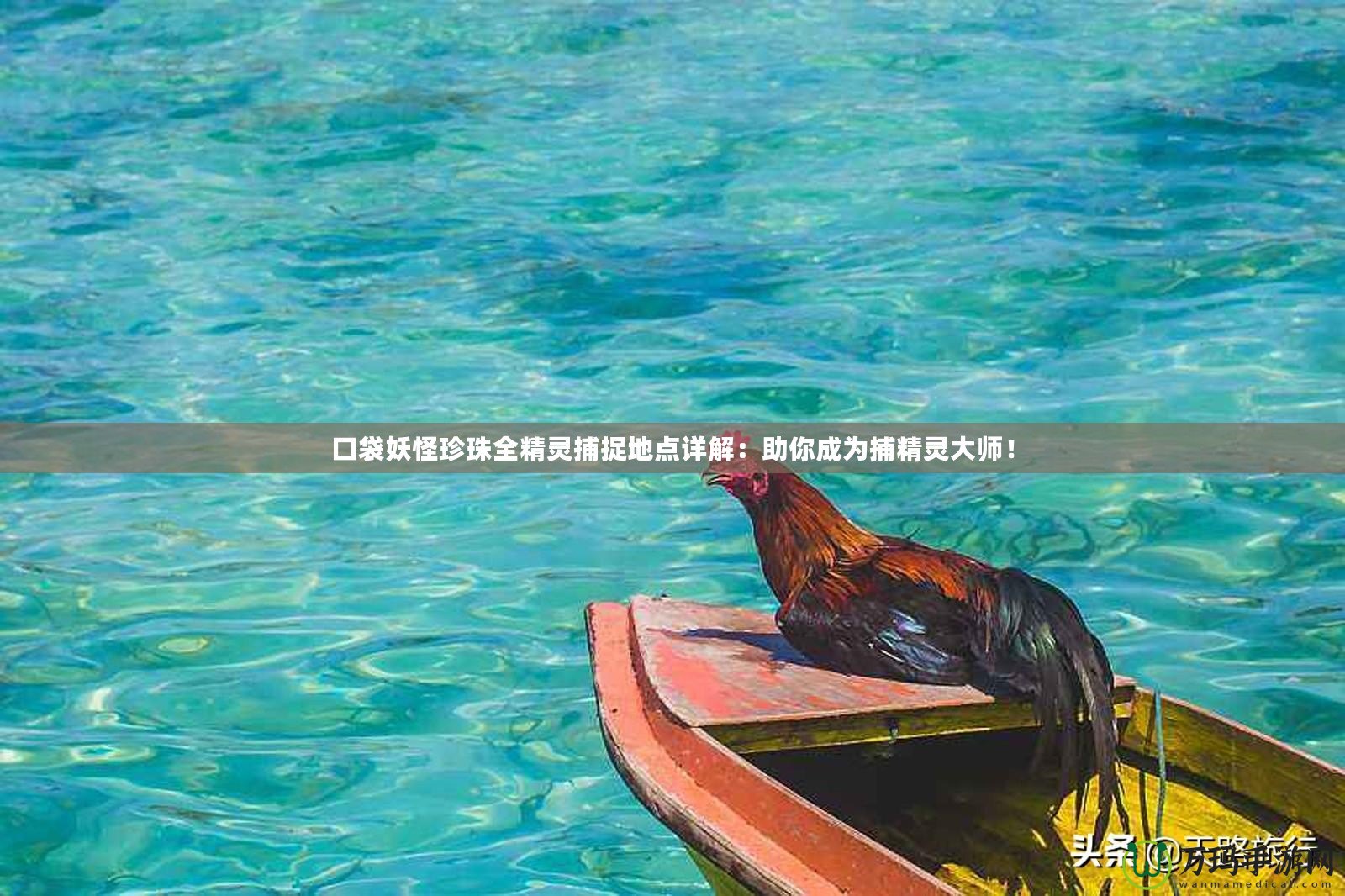 口袋妖怪珍珠全精靈捕捉地點詳解：助你成為捕精靈大師！