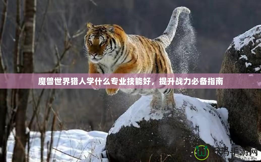 魔獸世界獵人學(xué)什么專業(yè)技能好，提升戰(zhàn)力必備指南