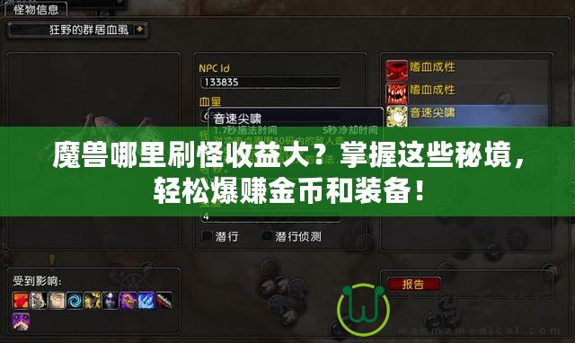 魔獸哪里刷怪收益大？掌握這些秘境，輕松爆賺金幣和裝備！